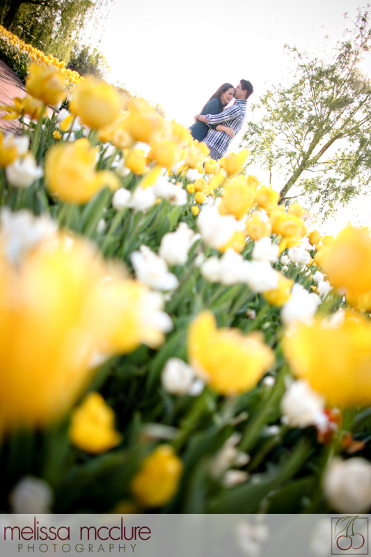 chicago_botanical_garden_engagement-001