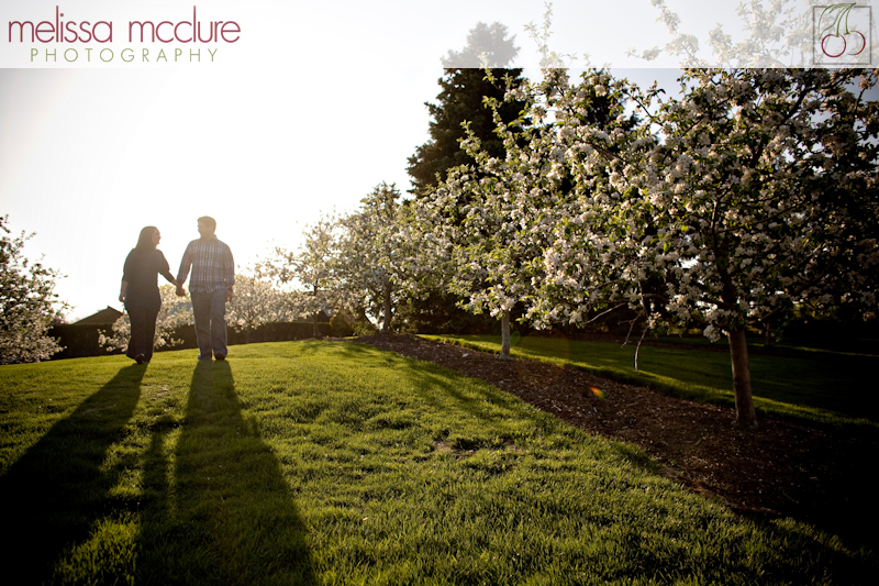 chicago_botanical_garden_engagement-002