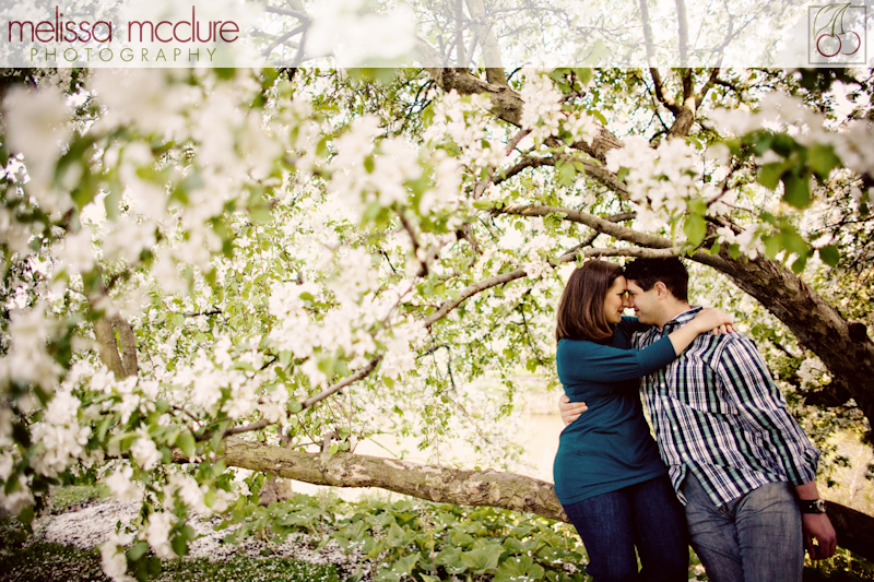 chicago_botanical_garden_engagement-003