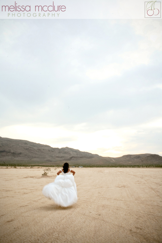 las_vegas_trash_the_dress011