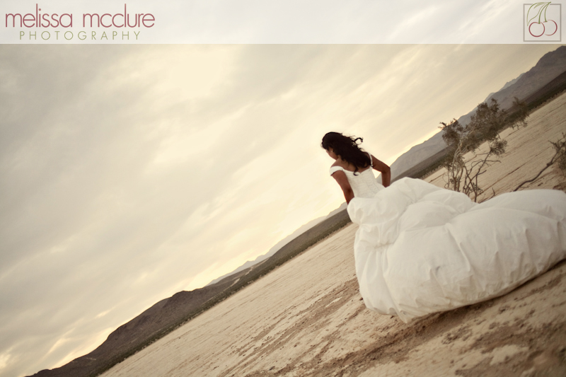 las_vegas_trash_the_dress024