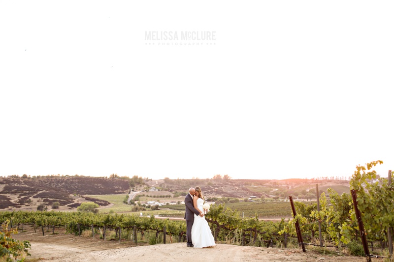 Falkner winery wedding 19