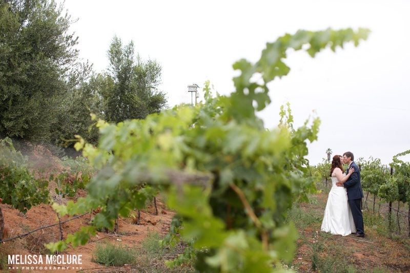 Cordiano Winery Wedding 17
